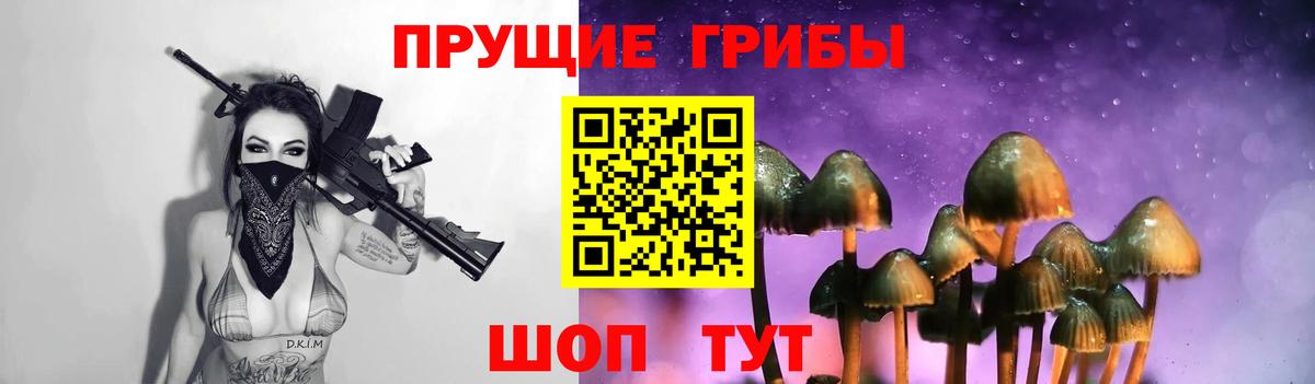 Галлюциногенные грибы мухоморы Петропавловск-Камчатский